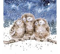 Wrendale Designs by Hannah Dale Lot de 8 boîtes de cartes de Noël Trois mages