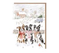 Wrendale Designs - Calendrier de l'Avent Border Collie « While Shepherds Watched »