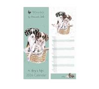 Wrendale Designs - Calendrier fin 2026 de la vie d'un chien