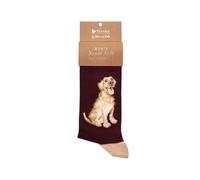 Wrendale Designs Chaussettes Good as Gold Labrador pour homme, multicolore, 7-11