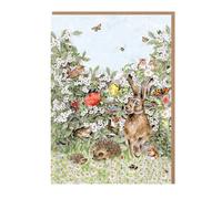 Wrendale Designs Hidden in the Hedgerow' Nature Lot de cartes