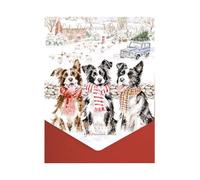 Wrendale Designs - Lot de cartes de Noël « While Shepherds Watched »