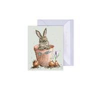 Wrendale GE121 Carte de vœux double avec enveloppe Mini carte rien que pour toi, motif de lapin, Flower Pot Bunny, 7,5 x 9 cm, vert