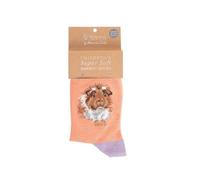 Wrendale Sockc012 Paire de chaussettes pour enfant Motif cochon d'Inde Orange Taille 27-31
