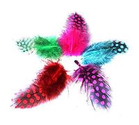 Wresetly Lot de 100 plumes en vrac de couleur poule d' 2,5 à 10 cm