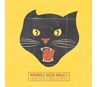 Wrinkle Neck Blues - I Never Thought It.