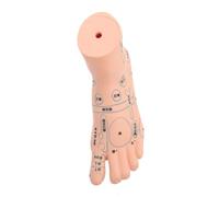 WRITWAA 1Pièce Pied Acupoint Pour Massage Outil Éducatif Réaliste Pour Enseignement De Réflexologie Pour Étudiants