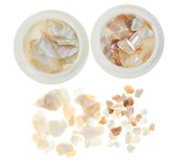 WRITWAA 2 Boîtes Décoration De Coquille D'ongle Salon Charme D'ongle Décalcomanies à Ongles Sirène Charmes D'art D'ongle Clou Envie Décalcomanies à Ongles Coquillages Bonjour Diva