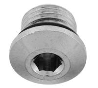 WRITWAA Bouchon de Régulateur de Plongée Laiton Chromé Visserie Robuste pour Premier Bouchon de Port Basse Pression Léger et Facile à Installer