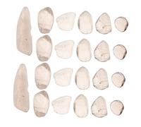 WRITWAA Cristaux Décoratifs Naturels Irrégulières pour Bijoux Créations Artisanales Remplissage de Vase Décoration Aquarium et Terrarium