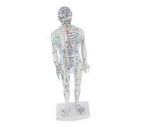 WRITWAA Modèle Acupuncture Homme Blanc pour Médecine Traditionnelle Chinoise Corps Entier avec Points de Pression Précis Mannequin Éducatif Réaliste pour Formation Acupuncteurs et