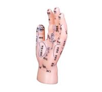 WRITWAA Modèle de Main d'Acupuncture Éducatif Modèle de Réflexologie Points d'Acupuncture Étiquetés Matériau PVC Solide Formation Médicale Pratique de Massage Outil Pédagogique Débutants
