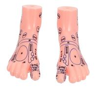 WRITWAA Modèle De Massage Des Points Acupuncture Du Pied Pour Enseignement Démonstration Réaliste Et Pratique Outil Pédagogique Pour Apprentissage Des Techniques De Massage Et Acupuncture