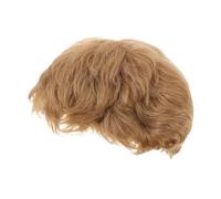 WRITWAA Perruque Courte Pour Homme Postiches Perruques Courtes Cosplay Homme Faux Cheveux