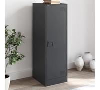 WRJENFSC Buffet anthracite - 34,5 x 39 x 107 cm - En acier laminé à froid - Design industriel moderne - Avec 3 compartiments et 1 porte - Meuble de rangement robuste pour salon, couloir, bureau