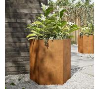 WRJENFSC Jardinière surélevée 2 pcs hexagone 46x40x45 cm Acier Corten Robuste sans Fond modèle Potager Exterieur pour Balcon et terrasse