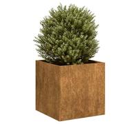 WRJENFSC Jardinière surélevée 40x40x40 cm en Acier Corten, bac Potager extérieur Moderne sans Fond, Robuste et décoratif pour Jardin Balcon terrasse
