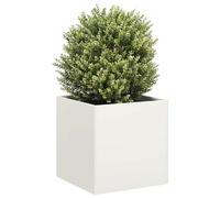 WRJENFSC Jardinière surélevée 40x40x40 cm en Acier laminé à Froid Blanc, Potager Balcon avec Fond Ouvert, Structure renforcée pour Jardin terrasse