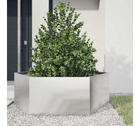 WRJENFSC Jardinière surélevée en Acier Inoxydable 138x120x45 cm sans Fond, Potager extérieur Hexagonal pour Balcon Jardin, Grande capacité de Terre, Montage Facile pour légumes aromatiques Fleurs