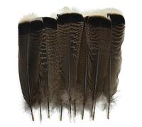 WRJLIN Lot de 10 Plumes d'aigle Naturelles pour décoration, Longues et Grandes Plumes de Dinde pour l'artisanat, Accessoires de Carnaval, décoration Naturelle