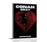 WRLIFWJXU Impression sur toile « Conan Gray » - Décoration murale à thème Superache - Pour salon, chambre à coucher, salle de jeux, bureau - 20 x 30 cm - Style cadre