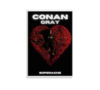 WRLIFWJXU Impression sur toile sans cadre - Superache Conan Gray - Pour salon, chambre à coucher, salle de jeux, bureau - 60 x 90 cm