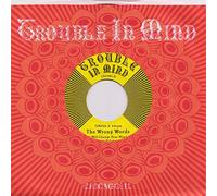 Wrong Words - I Will Change Your Mind [Import]