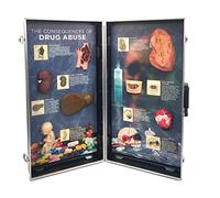 WRS Group Conséquences de l'abus de drogues, Tableau d'information 3D