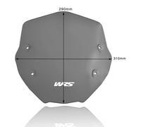 Wrs Pare-brise Sport Bmw Bm056fs