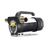 wrtgerht Mini-Pompe à Petite Puissance de Haute qualité 1 2V 24V 220V Pompe de puits d'huile électrique Petit Distributeur de Carburant Diesel (Voltage : 220V)