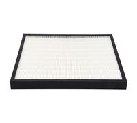 Wrtysully 1 Pcs HEPA Filtre de Remplacement pour FZ-F30HFE Purificateur d'air Accessoire 310X280Mm