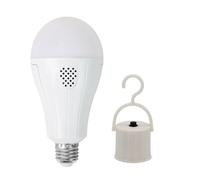 Wrtysully Ampoule de Charge d'urgence avec Crochet Haute Luminosité E27 Rechargeable en Cas de Panne de Courant, Camping, Pêche, Lampe Portable
