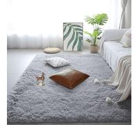 WRUIJIO Tapis Chambre 160 x 300 cm Shaggy Moderne Grand Tapis de Salon Lavable Design Monochrome Moderne de Chambre et Salon Antidérapant Décoration Intérieure, Gris Clair