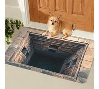 WRYHAUL 2026 Nouveau Tapis de Trou 3D, Tapis Qui ressemblent à Un Trou, Le Chien antidérapant a Peur du tapis3D, Tester et Jouer avec Votre Chien ou Votre Chat (C,40 * 60cm)