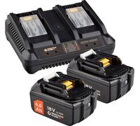 WS24 Kit de démarrage sans fil 18 V / 2x batterie 4,0 Ah + double chargeur rapide