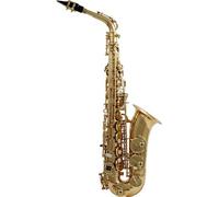 WSA100 - Alto Mi b Verni