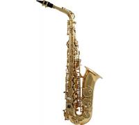 WSA100 - Alto Mi B Verni