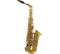 WSA300 - Alto Mi B Verni