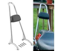 Wsays 21" Tall Sissy Bar Passenger Backrest Classic Styled Chrome Compatible with Harley Sportster XL 883 1200 1996-2003