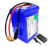 WSDAV Batterie au Lithium 24 V, 2 Ah, 4 Ah, 6 Ah, 8 Ah, 10 Ah, 12 Ah, Batterie de Remplacement avec Carte de Protection BMS et Chargeur.