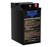 WSDAV Batterie au Lithium pour Moto électrique 48 V 30 Ah, Batterie au Phosphate de Fer et de Lithium 60 V 72 V pour Moteur de Tricycle ou de voiturette de Golf de 50 W à 2200 W.,72v30ah