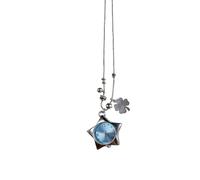 Wsdsgz Chaîne de clavicule porte-bonheur à quatre symboles en acier inoxydable pour elle et lui, design poli, élégant collier d'herbe cadeau, taille unique, Comme décrit, Comme décrit.
