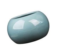 Wsdsgz Élégant vase décoratif en céramique craquelée avec une capacité de 300 ml pour culture hydroponique et simple arrangement domestique petit vase de jardin