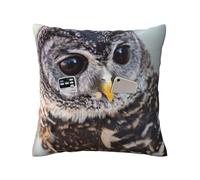 WSHFFILO Taie d'oreiller décorative en lin imprimé hibou mignon
