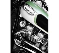 WSJIJY Impression sur Toile Affiches Et Impressions sur Toile Représentant Un Pilote De Moto Rétro, Décoration Murale, 30 X 45 Cm, sans Cadre