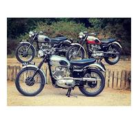 WSJIJY Impression sur Toile Affiches Et Impressions sur Toile Représentant Un Pilote De Moto Rétro, Décoration Murale, 30 X 45 Cm, sans Cadre