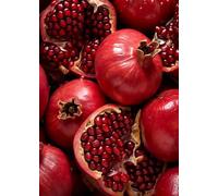WSJIJY Impression sur Toile Alimentation Fruits Série Orange Fraise Pomme Kiwi Banane Raisin Art Affiche Toile Peintures Art Mural Photos Cuisine Décoration D’Intérieur 15X20Cm sans C