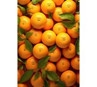 WSJIJY Impression sur Toile Alimentation Fruits Série Orange Fraise Pomme Kiwi Banane Raisin Art Affiche Toile Peintures Art Mural Photos Cuisine Décoration D’Intérieur 15X20Cm sans C