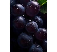 WSJIJY Impression sur Toile Alimentation Fruits Série Orange Fraise Pomme Kiwi Banane Raisin Art Affiche Toile Peintures Art Mural Photos Cuisine Décoration D’Intérieur 15X20Cm sans C