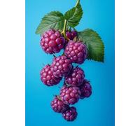 WSJIJY Impression sur Toile Délicieux Fruit Ananas Fraise Mangue Citron Minimaliste Photographie Affiche D’Art Tableaux D’Art Peinture Murale Décoration Intérieure 50X70Cm sans Cadre